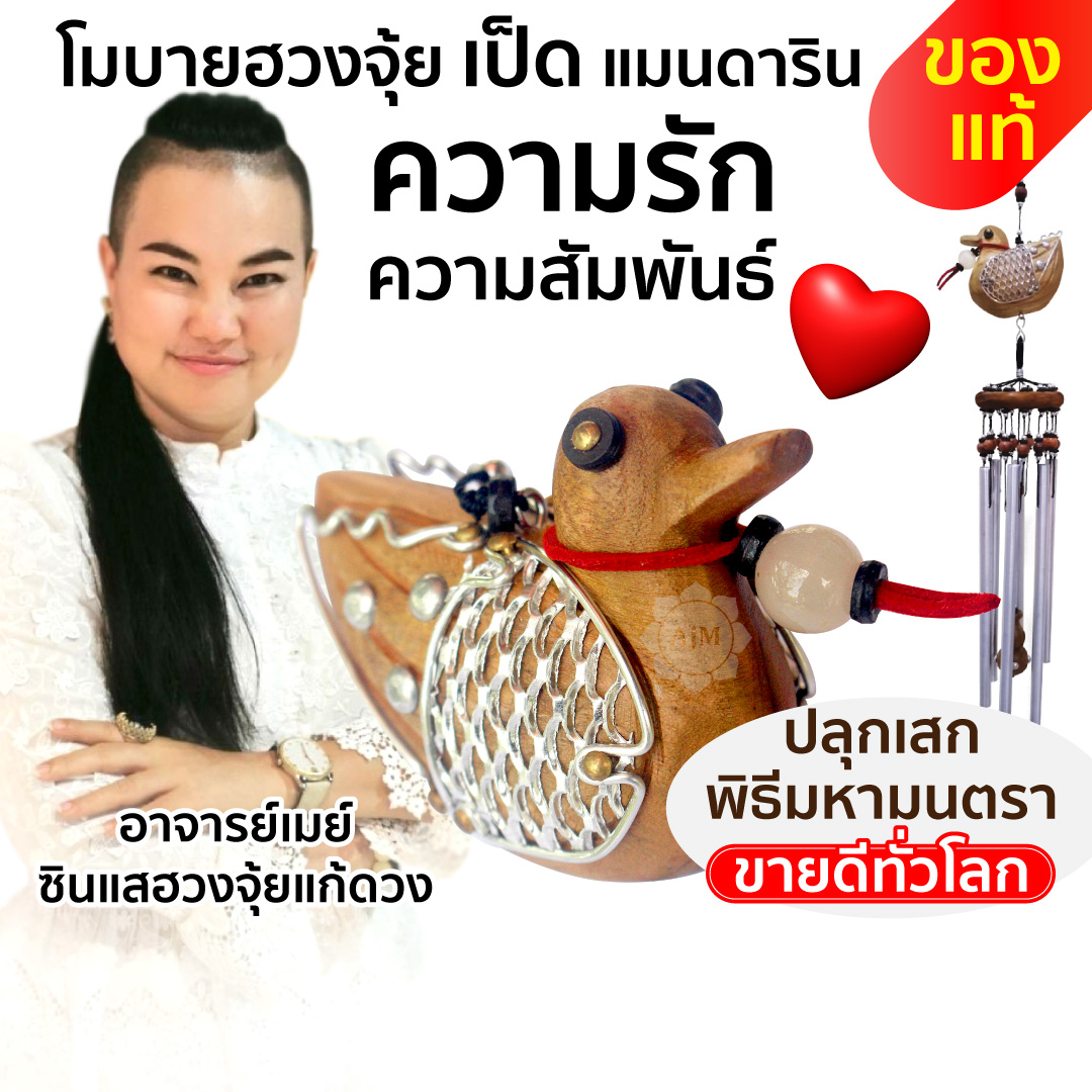 Cover_โมบายฮวงจุ้ย_เป็ด.jpg - 9 จุดในบ้านผิดหลักฮวงจุ้ย แก้ง่ายนิดเดียว รีวิวเพียบ | https://ซินแสฮวงจุ้ย.com